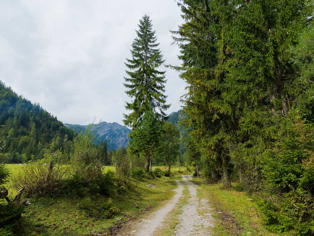 Wanderguide, Mosel, Wandern, Mosel, Winzer