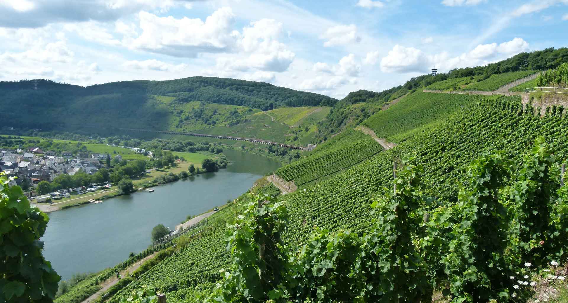 Wandergide Mosel, Wandern, Kröv